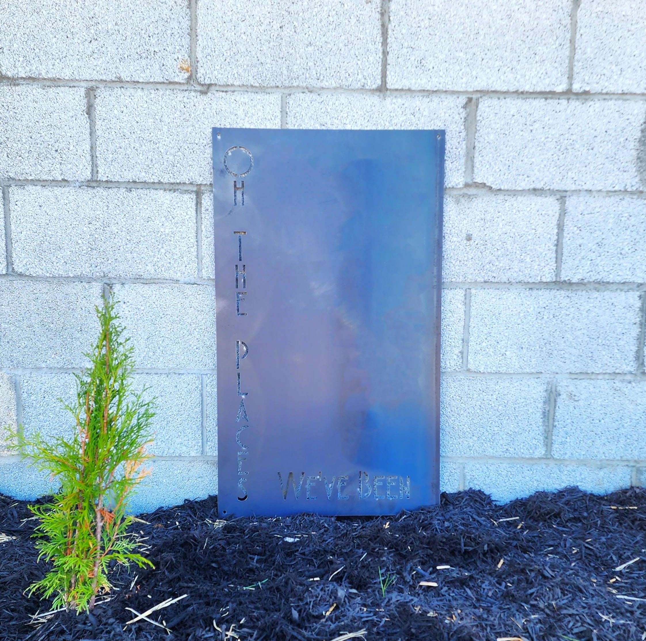 World Travel Magnet Board - Steel Wall Map Display